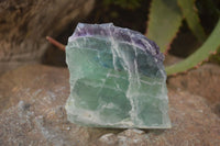 Natural Rough Watermelon Fluorite Cobbed Specimens  x 6 From Namibia