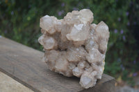 Natural Large White Phantom Smokey Quartz Cluster  x 1 From Luena, Congo - Toprock Gemstones and Minerals 