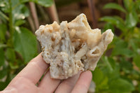 Natural Drusi Quartz Coated Calcite Pseudomorph Specimens  x 6 From Alberts Mountain, Lesotho - TopRock