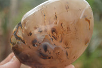 Polished Gorgeous Agate Standing Free Forms x 2 From Madagascar