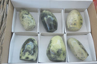 Polished Spotted Leopard Stone Standing Free Forms  x 6 From Zimbabwe - Toprock Gemstones and Minerals 