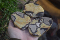 Polished Septaria (Calcite & Aragonite) Slices  x 12 From Madagascar