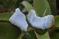 Natural Blue Lace Agate Geode Specimens x 6 From Nsanje, Malawi