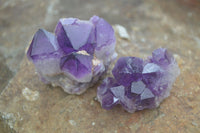 Natural Single Amethyst Crystals  x 35 From Zambia - Toprock Gemstones and Minerals 