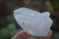 Natural Brandberg Amethyst Quartz Crystals  x 6 From Namibia - Toprock Gemstones and Minerals 