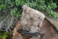 Natural Large White Phantom Smokey Quartz Cluster  x 1 From Luena, Congo - Toprock Gemstones and Minerals 