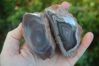 Polished Banded River Agate Nodules  x 6 From Sashe River, Zimbabwe - Toprock Gemstones and Minerals 