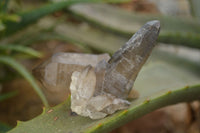 Natural Smokey Quartz Points & Clusters - Sold per 1 kg - From Erongo, Namibia - TopRock