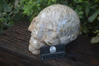 Polished Extra Large Tiger Quartz In Feldspar Skull Carving  x 1 From Madagascar - Toprock Gemstones and Minerals 