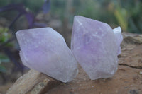 Natural Single Jacaranda Amethyst Crystals  x 12 From Mumbwa, Zambia - Toprock Gemstones and Minerals 