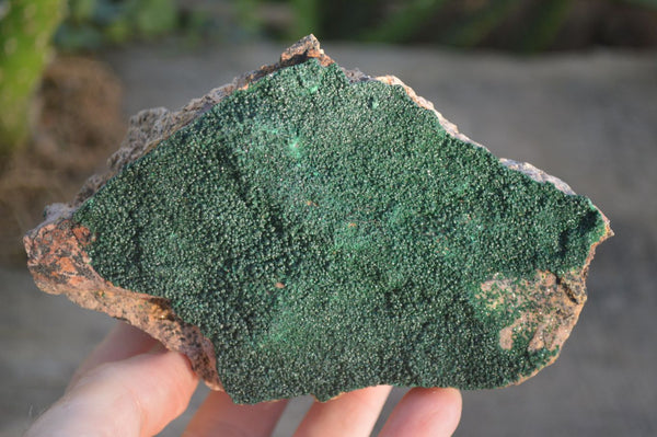 Natural Crystalline Micro Botryoidal Malachite Specimens  x 2 From Congo - Toprock Gemstones and Minerals 