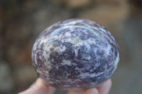 Polished Purple Lepidolite Free Forms  x 3 From Zimbabwe - Toprock Gemstones and Minerals 