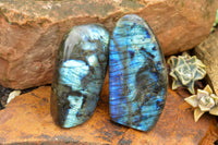 Polished Labradorite Standing Free Forms With Intense Blue & Gold Flash x 3 From Tulear, Madagascar - TopRock