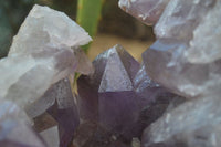 Natural Jacaranda Amethyst Cluster x 1 From Mumbwa, Zambia - TopRock