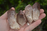 Natural Red Hematoid Quartz Specimens x 24 From Karoi, Zimbabwe - TopRock