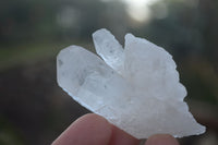 Natural Single Clear Quartz Crystals x 35 From Mpika, Zambia