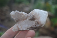 Natural Highly Selected Pineapple Candle Quartz Crystals  x 12 From Madagascar - Toprock Gemstones and Minerals 