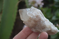 Natural Small White Phantom Smokey Quartz Clusters x 12 From Luena, Congo