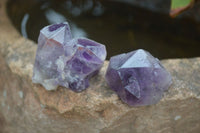 Natural Single Amethyst Crystals  x 35 From Zambia - Toprock Gemstones and Minerals 