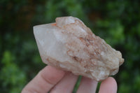 Natural Highly Selected Pineapple Candle Quartz Crystals  x 12 From Madagascar - Toprock Gemstones and Minerals 