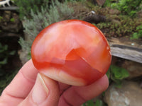 Polished Bright Red/ Orange Medium Sized Carnelian Palm Stones / Gallets - sold per kg - From Madagascar - TopRock