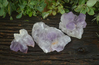 Natural Jacaranda Amethyst Clusters  x 3 From Mumbwa, Zambia - Toprock Gemstones and Minerals 