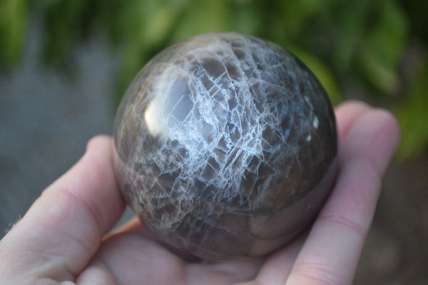 Polished Black Pearl Moonstone Spheres  x 3 From Madagascar