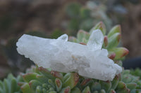 Natural Single Clear Quartz Crystals x 35 From Mpika, Zambia