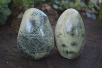 Polished Spotted Leopard Stone Standing Free Forms  x 6 From Zimbabwe - Toprock Gemstones and Minerals 