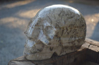 Polished Extra Large Tiger Quartz In Feldspar Skull Carving  x 1 From Madagascar - Toprock Gemstones and Minerals 