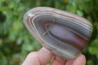 Polished River Agate Nodules  x 6 From Sashe River, Zimbabwe