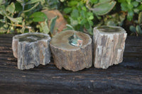 Polished Petrified Wood Branch Pieces  x 3 From Gokwe, Zimbabwe - Toprock Gemstones and Minerals 