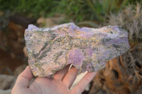 Natural Large Stichtite & Serpentine Cobbed Specimens x 2 From Barberton, South Africa