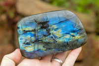 Polished Labradorite Standing Free Forms With Intense Blue & Gold Flash x 3 From Tulear, Madagascar - TopRock