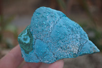 Natural Blue Chrysocolla On Silky Malachite Matrix Specimens  x 6 From Kulukuluku, Congo - Toprock Gemstones and Minerals 