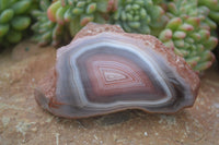 Polished Red Sashe River Agate Nodules x 12 From Sashe River, Zimbabwe