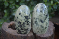 Polished Spotted Leopard Stone Standing Free Forms  x 6 From Zimbabwe - Toprock Gemstones and Minerals 