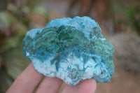 Natural Blue Chrysocolla On Silky Malachite Matrix Specimens  x 6 From Kulukuluku, Congo - Toprock Gemstones and Minerals 