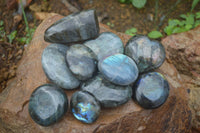 Polished Mixed Labradorite Items  x 14 From Madagascar - Toprock Gemstones and Minerals 