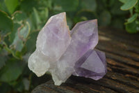 Natural Jacaranda Amethyst Clusters  x 3 From Mumbwa, Zambia - Toprock Gemstones and Minerals 