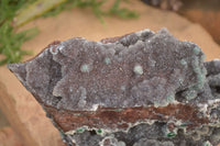 Natural Drusy Coated Ball Malachite On Dolomite Specimen  x 1 From Likasi, Congo