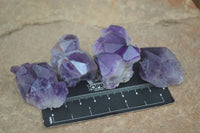 Natural Single Amethyst Crystals  x 35 From Zambia - Toprock Gemstones and Minerals 