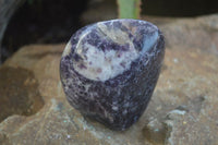 Polished Purple Lepidolite Free Forms  x 3 From Zimbabwe - Toprock Gemstones and Minerals 