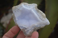 Natural Blue Lace Agate Geode Specimens x 6 From Nsanje, Malawi