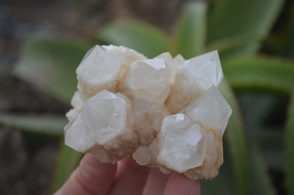 Natural Mixed Quartz Clusters  x 6 From Madagascar