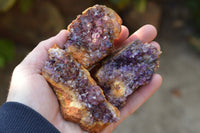 Natural Dark "Amethystos" Amethyst Clusters  x 12 From Kwaggafontein, South Africa - TopRock