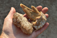 Natural Stunning Mixed Selection Of Quartz Specimens  x 12 From Africa - TopRock