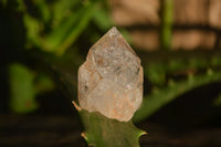 Natural Mixed Brandberg Quartz Crystals x 35 From Brandberg, Namibia