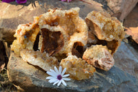 Natural Golden Limonite / Lemonite Quartz Clusters  x 6 From Mwinilunga, Zambia - TopRock