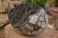 Polished Septerye Sauvage "Dragons Egg" x 1 From Mahajanga, Madagascar - TopRock